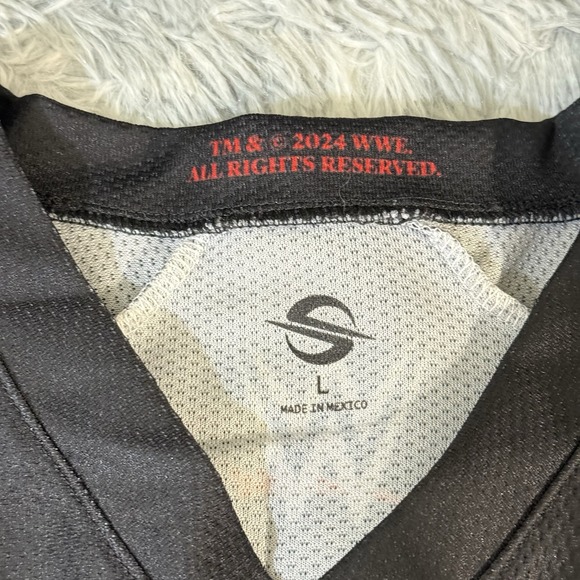 WWE BAD BLOOD 2024 Football Jersey Tampa Bay Medium Cm Punk Official - Picture 5 of 5